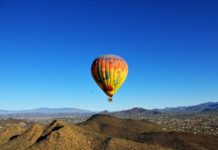 Soaking up the sunshine in Arizona’s Sonoran Desert