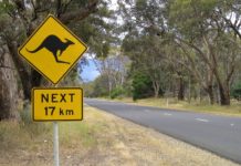 Second largest state in Australia is first place to explore A road sign shows a Kangaroo hopping. Road signs like this are common in Australia's state of Victoria.