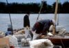 Quest for the Bay: Day 2 Two adventurers dressed as 1840's yorkmen inspect the gear that is packed inside their york boat.