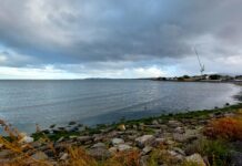 Beach Roaming: Dublin, Ireland The view of a rock and mossy beach stretching along the blue-grey ocean, with dark clouds above, and a thin band of blue sky off on the horizon. It's one of a half dozen Dublin city beaches.