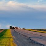 The Long Walk: The art of making a movie in motion A film crew making The Long Walk, on the horizon in motorized carts at golden hour, in a prairie location, on an old concrete highway, with green and yellow fields, and a deep blue sunset sky.