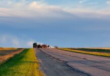 The Long Walk: The art of making a movie in motion A film crew making The Long Walk, on the horizon in motorized carts at golden hour, in a prairie location, on an old concrete highway, with green and yellow fields, and a deep blue sunset sky.