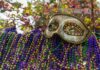Mardi Gras: Global carnival without borders is an annual celebration A golden mardi gras face mask sits atop a fence draped with colourful beads.