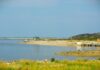 The magic of mingling with beluga whales in Churchill A rocky coastal shore with grass in the foreground, an inlet, and sandy coloured shoreline across the water.