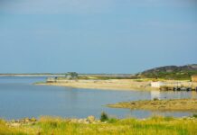 The magic of mingling with beluga whales in Churchill A rocky coastal shore with grass in the foreground, an inlet, and sandy coloured shoreline across the water.