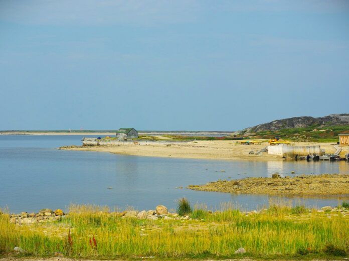 A rocky coastal shore with grass in the foreground, an inlet, and sandy coloured shoreline across the water.